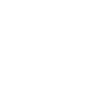 Wikipedia Icon